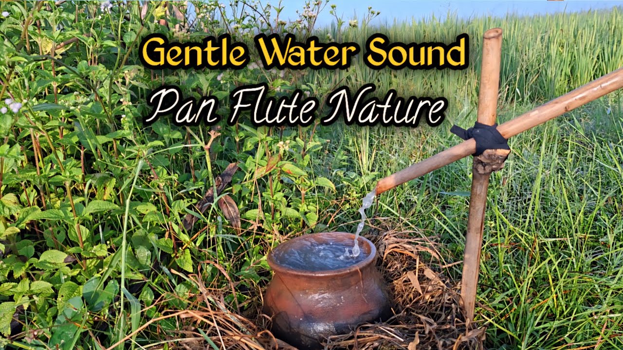 Gentle Water Drip in Rice Fields | Pan Flute Nature Ambience