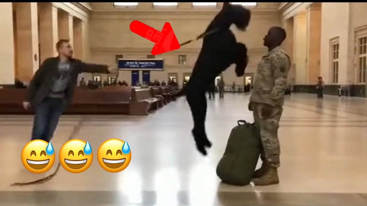 🥰🥰 Finally! My Soldier Human Is Back After Years!