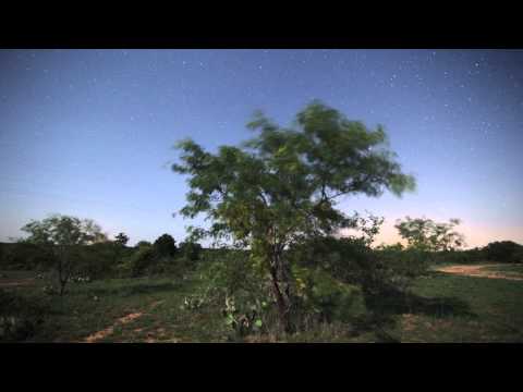 Dynamic Perception Dolly Test - Moonlit Time Lapse
