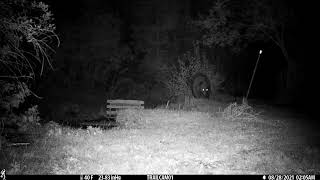 Field Test for Critter Gitter Carnivore Alarm by People and Carnivores 848 views 2 years ago 16 seconds