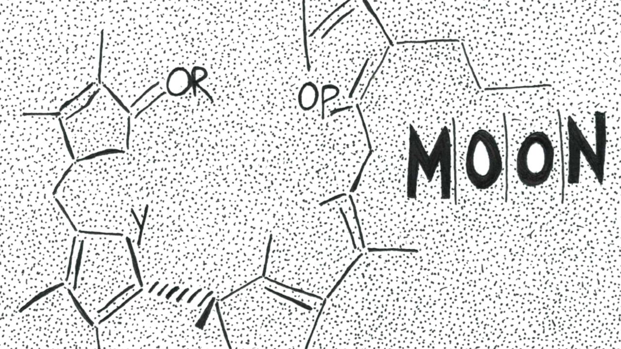 Watch M|O|O|N - Chlorophyll on YouTube Watch M|O|O|N - Chlorophyll on YouTube