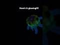 Make a glow in the dark kandi octopus with me!!!!! #kandi #kandikid #kanding #kandicharm