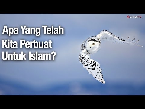 ceramah-pendek:-apa-yang-telah-kita-perbuat-untuk-islam?---ustadz-abdullah-zaen,-lc.,-ma