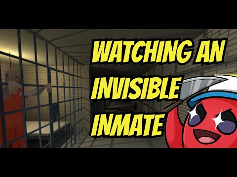 I HAD TO WATCH AN INVISIBLE INMATE AND SURVIVE