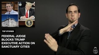 The Daily Moth 4-26-17