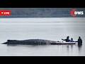LIVE: Dramatic Whale Rescue Operation on Germany’s Baltic Coast | Urgent Mission Unfolds | AO1Z
