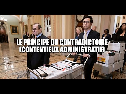 Vidéo: Quels termes apparemment contradictoires apparaissent ?