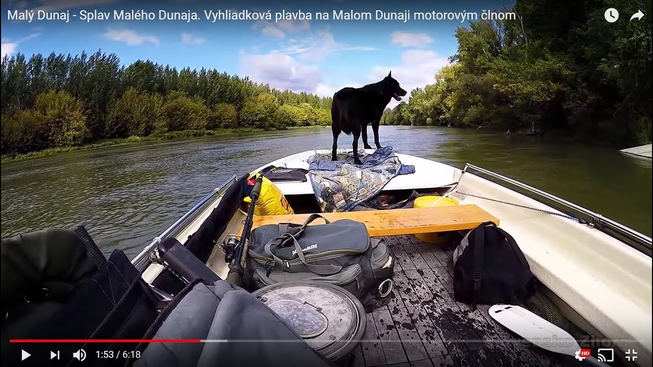 Malý Dunaj - Splav Malého Dunaja. Vyhliadková plavba na Malom Dunaji motorovým člnom