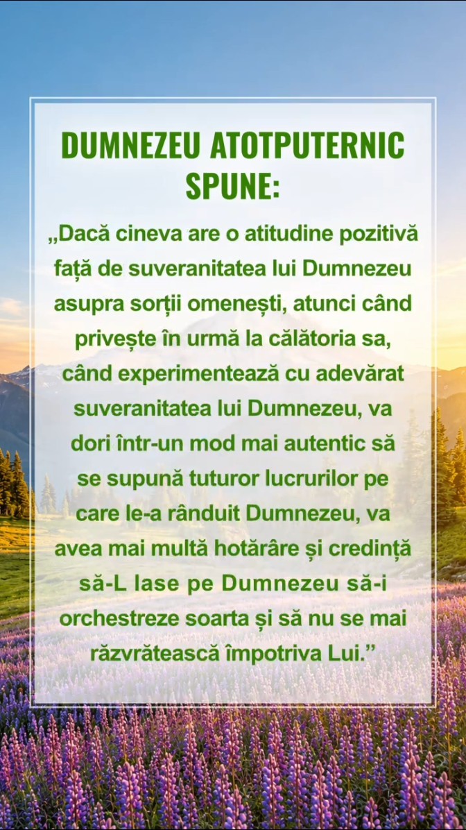 Liniștiți-vă înaintea lui Dumnezeu și citiți cuvintele Lui pentru a vă apropia de El
