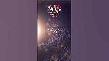 قارئ ماهر المعيقلي #قرآن #قران #اكسبلور #قران_كريم #duet #لايك #قران_كريم_ارح_سمعك_وقلبك