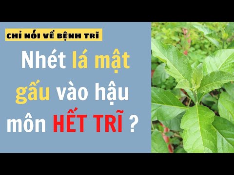 Video 8# Nhét lá mật gấu vào hậu môn HẾT TRĨ ? - youtube