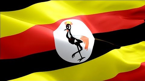 Ugandan flag video waving in wind. Realistic Kampala Flag background. Uganda flag Full H