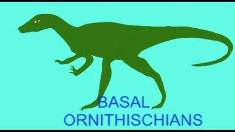 PL EXAM 2: TRANSITIONAL FOSSILS OF HORNED DINOSAURS.avi