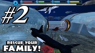 Orca Simulator By Gluten Free Games - Android & Ios - Gameplay Part 2