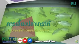 การเลี้ยงปลาเทราต์ ปลาเศรษฐกิจตัวใหม่ในประเทศไทย