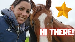 A surprise at Stal G... | Have a look at Rising Star⭐ and friends | Friesian Horses