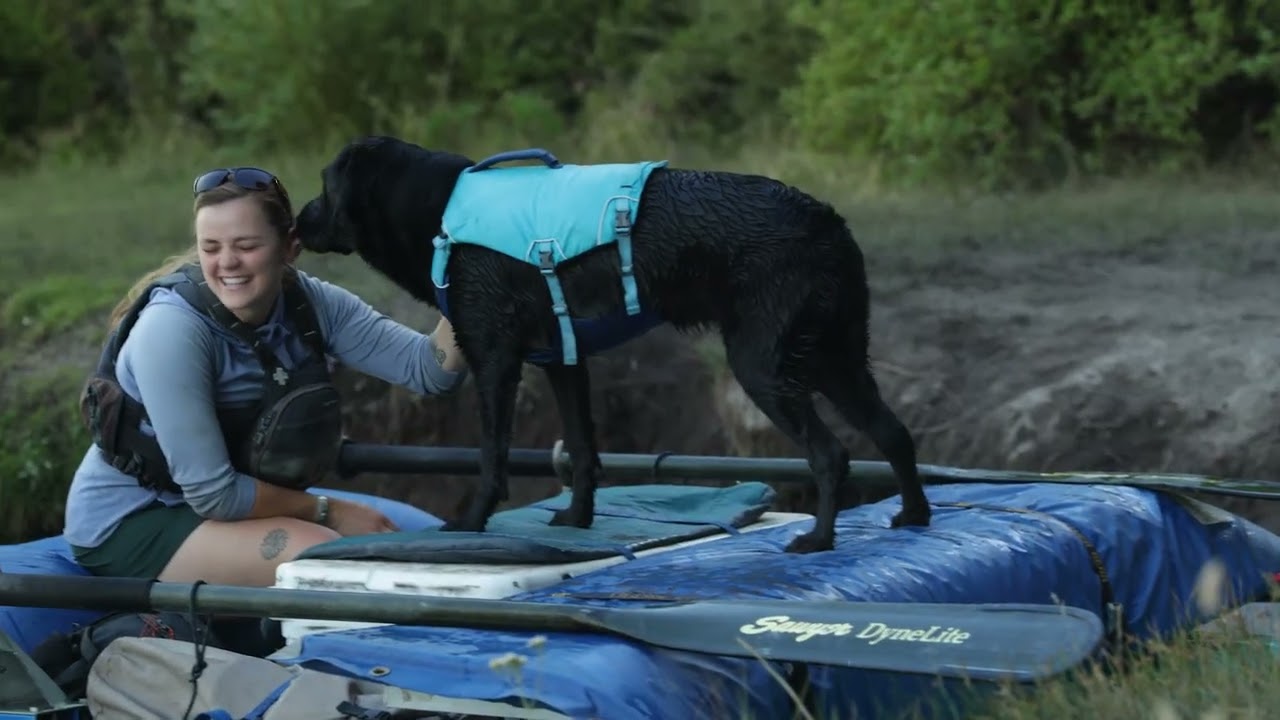 Ruffwear - Confluence Life Jacket