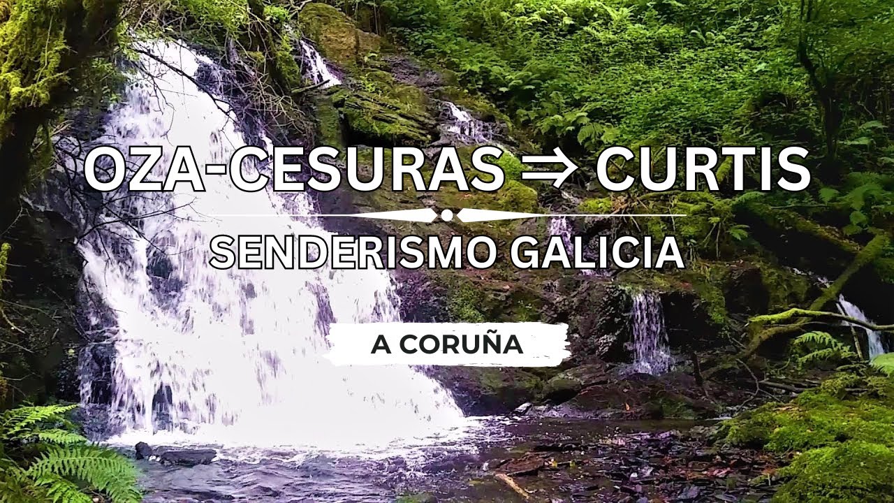 🇪🇸 🌳 Oza-Cesuras ⇒ Curtis (Río Mendo) #Senderismo #Galicia #España