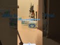 mira lo que pasa al final del video