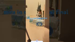mira lo que pasa al final del video