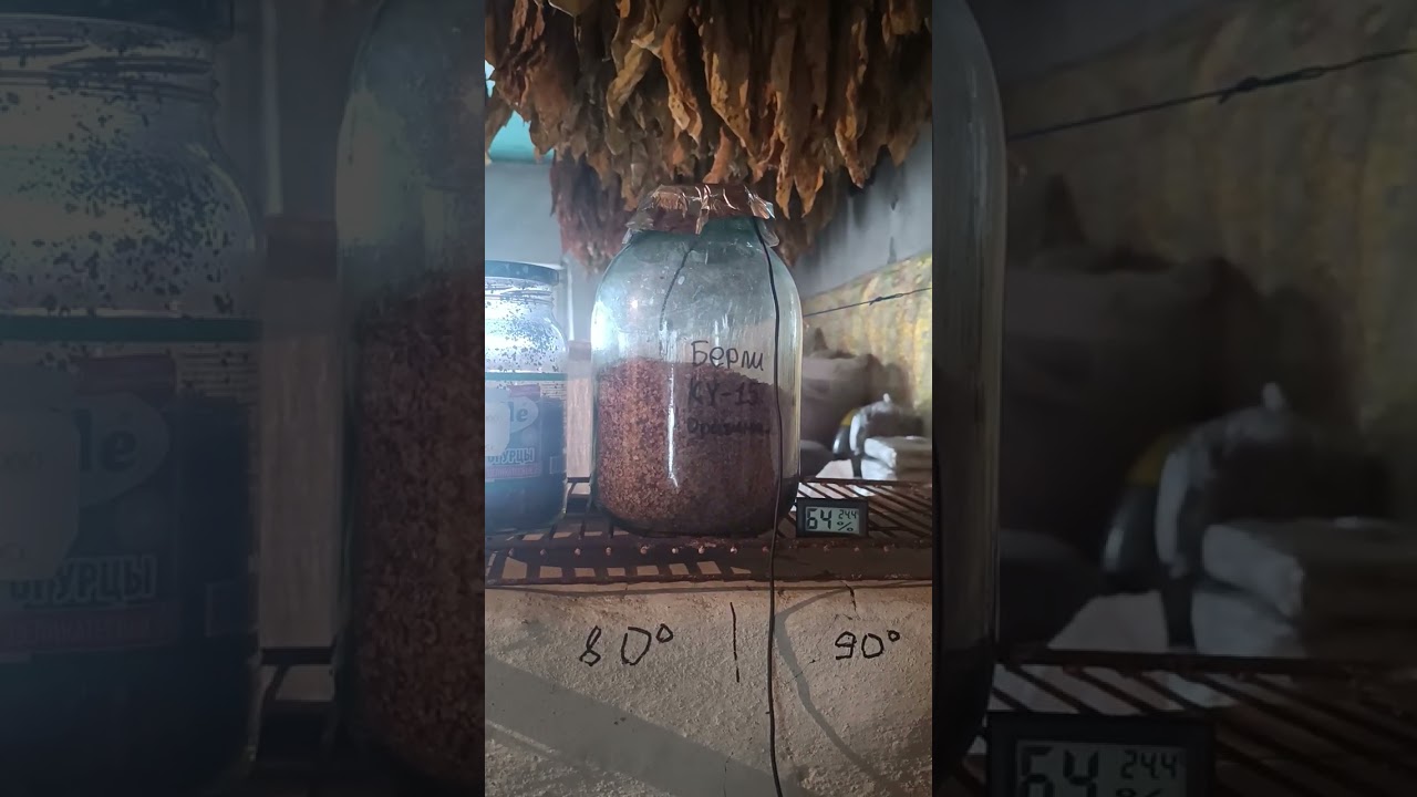 Как получить вкус табака таким, каким он может быть. Как правильно выбрать влажность.