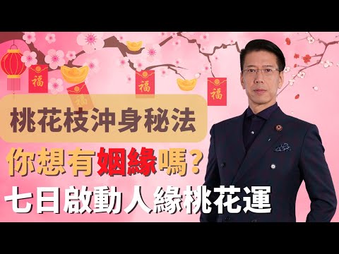 創造幸福人生  3.  【桃花枝沖身秘法】七天啟動人緣桃花運!新年限定秘法!馬上脫單有姻緣,吸引貴人客戶簽單!提昇人際關係及事業,大受男女歡迎的改運法![聲師傅教室]