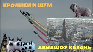 Влияние шума на организм кроликов / Впечатление от Казани Влияние шума на организм кроликов / Впечатление от Казани