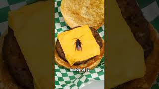 If you ordered a burger and you found a cockroach in it, would you still eat it? #zackdfilms