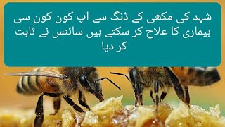 شہد کی مکھی کے فوائد honey bee health benefits  #honey #honeybeeshealthbenefits