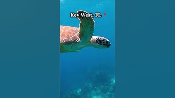 Miami ➡️ Key West ⛵️ #navigation #boating #floridakeys #keywest #miami