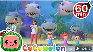 "🎶 Five Little Baby Sharks Go on a Splash  test  Adventure! 🚀 | Catchy Nursery Rhymes for Kids!"