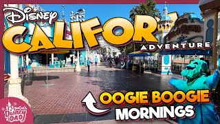 How EMPTY is Disney California Adventure on OOGIE BOOGIE BASH Mornings