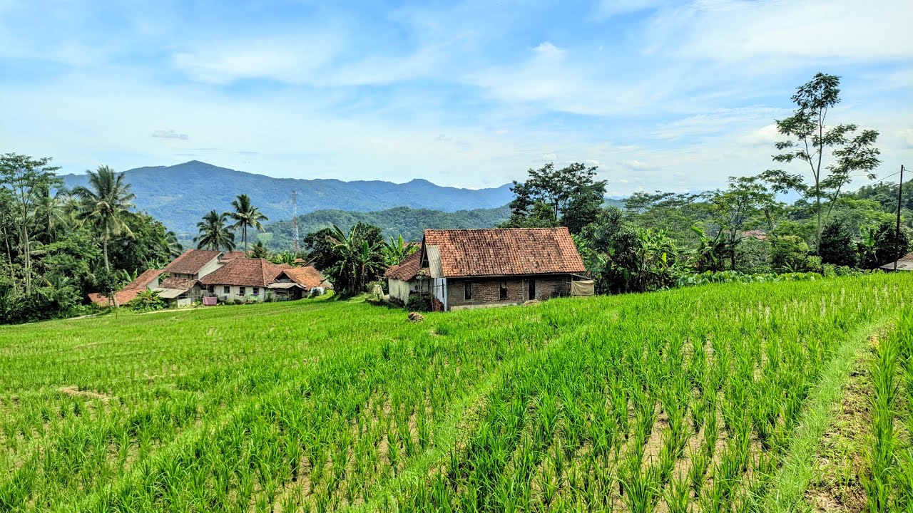 MASYAALLAH 😍TEMPAT YANG TENANG DAN SEJUK, KAMPUNG DI TENGAH SAWAH DI PEDESAAN CIAMIS JAWA BARAT