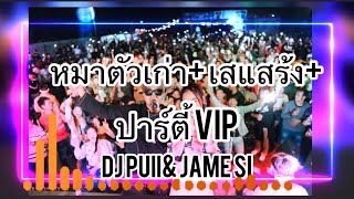 VIP2023 หมาตัวเก่า 💥☕️ตึดๆ🚀Party🛸)เปิดในผับไวลุ้นชอบ🔥Remix(DJPUII&JAME SI)คู่ฮ๊อต🔥