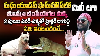 Hyderabads Man Madhu Yadav Mini Zoo Tour In Farm House Wedding Invitation Cards In Helicopter