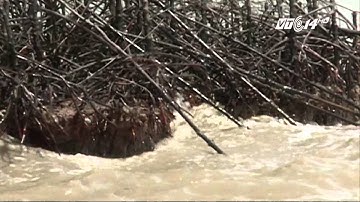 (VTC14)_Cà Mau đang sụt lún vì khoan giếng ồ ạt