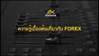 ความรู้เบื้องต้นเกี่ยวกับ Forex บทที่ 1