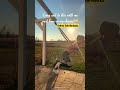 💛20 Minute Full Body TRX AMRAP Workout - Standing Exercises Only!