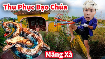 Hậu Cáo - Bất Ngờ Săn Được Mãng Xà Bạo Chúa Trong Mộ Ngoài Nghĩa Địa