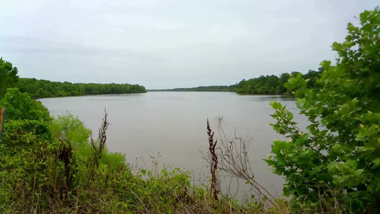 Mobile River Time Lapse: Upper Delta Wildlife Management