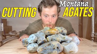 Cutting My Best Montana Agates - Was It Worth It?