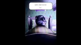 My Talking Tom Android Gameplay