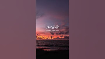 سورة الأحزاب.#ياسر_الدوسري #اكسبلور #quran #القرآن_الكريم #لايك #foryou #duet #fyp
