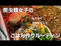【ルーティン】爬虫類女子のごはん作りルーティン🍴