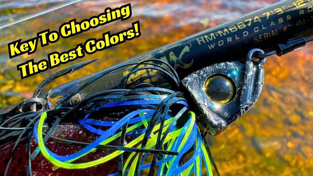 The Most Important Factor In Choosing the Correct Fishing Lure Color ...