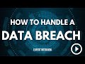 How to Handle a Data Breach