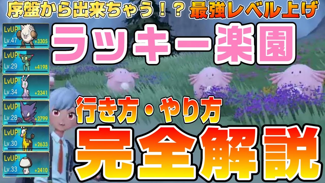 Pokemon SV] Complete guide to getting to 