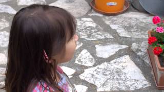 WP 20140506 20 03 00 Pro