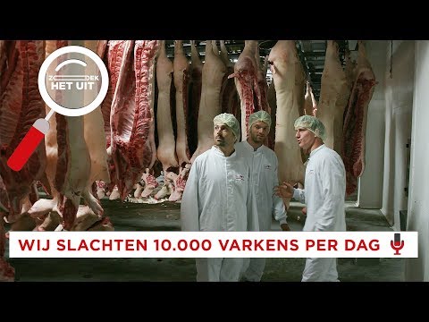 Zó maak je van een BIG een SCHNITZEL | Zoek het Uit | Bucket Boys