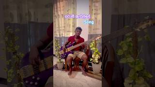Saragi Asille song bass cover #music #trending #fyp